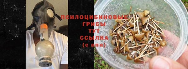 COCAINE Няндома