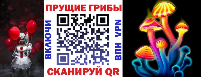 МЕГА ССЫЛКА Знаменск Галлюциногенные грибы Psilocybe