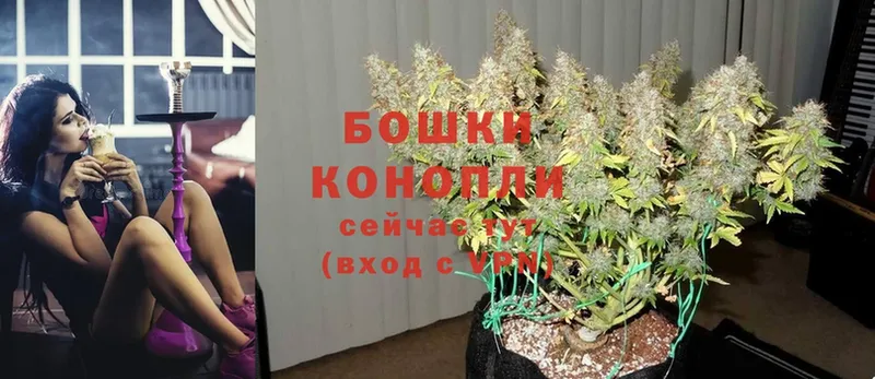 Канабис Bruce Banner  Знаменск 